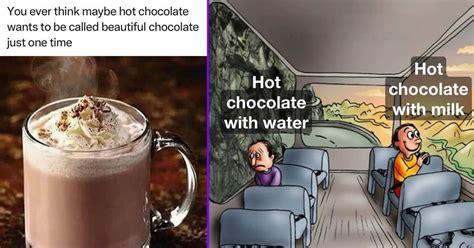 52 Best Chocolate Memes
