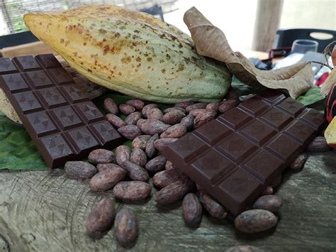 chocolates en costa rica