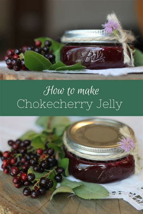 Choke Cherry Recipe