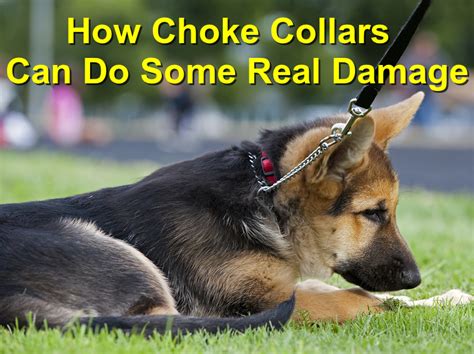 Choke Collar Damage