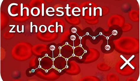 Cholesterin Normalwerte (Tabelle)
