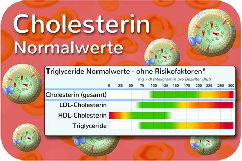 cholesterinwerte