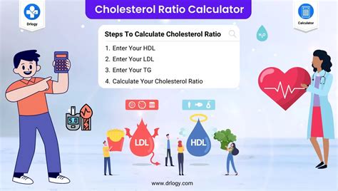 Cholesterol Calculator