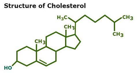 Cholesterol Formula