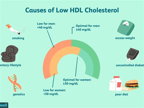 cholesterol hdl ldl ratio