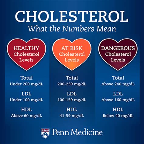 cholesterol levels meaning