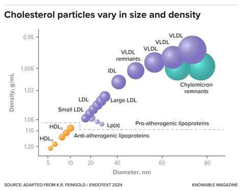 Cholesterol Test Particle Size