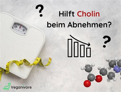 cholin abnehmen