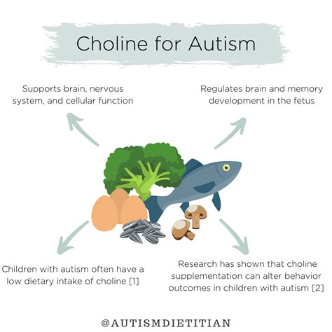 Choline And Autism