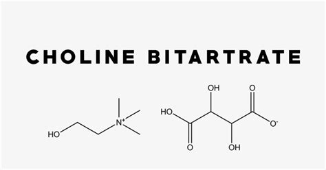 choline bitartrate drug interactions