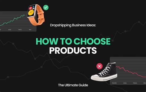 choose a dropshipping business idea