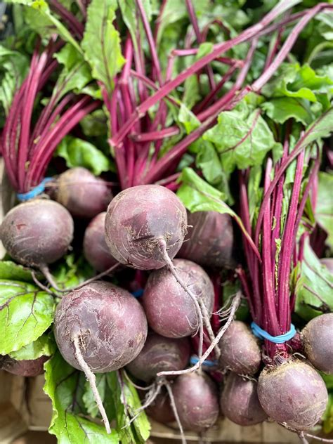 Choosing Fresh Beetroot