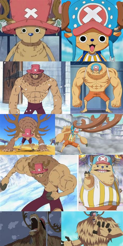 chopper before and after timeskip