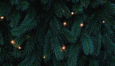 Christmas Aesthetic Wallpaper Green