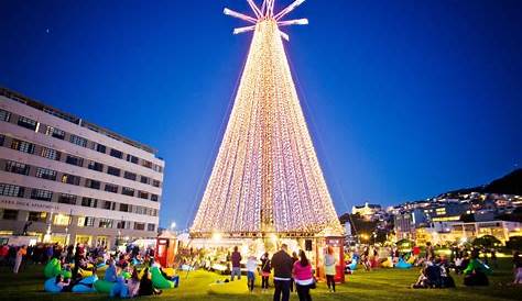 Christmas Decorations In New Zealand Kiwi Tree Ornament Tree