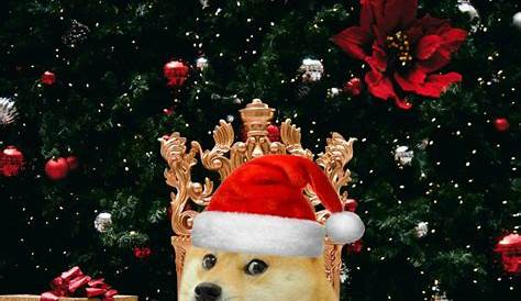 Christmas Doge Wallpaper