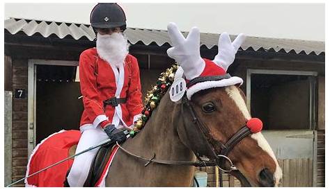 Christmas Fancy Dress For Ponies