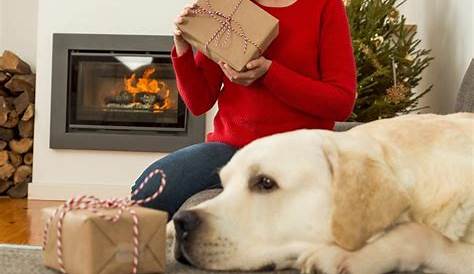 Christmas Gift Ideas For Dog Lovers
