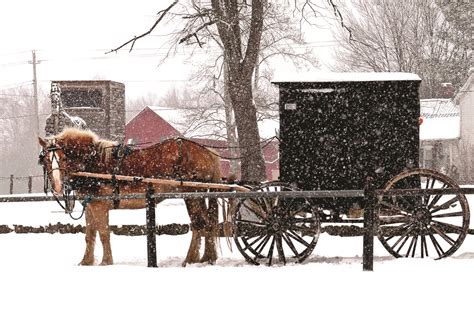 Christmas in Sugarcreek sugarcreek ohio christmas Amish country