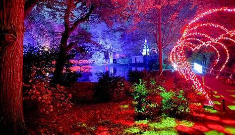 Christmas Lights At Leeds Castle
