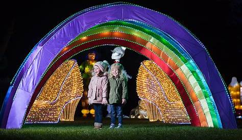 Christmas Lights Dublin Zoo Light Show 2021 Best 2021