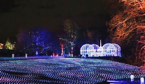 Christmas Lights Que Gardens At Kew London Pics