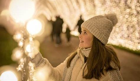 Christmas Lights Roundhay Park