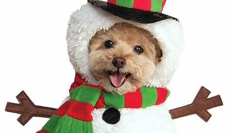 Christmas Outfits For Dogs
