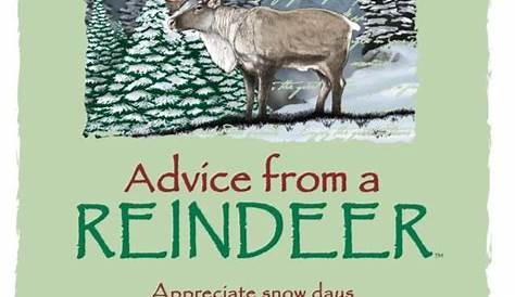 Christmas Quotes Reindeer