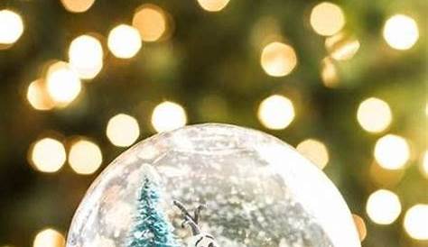 Christmas Snow Globe Ideas DIY Picture Craft Crafts
