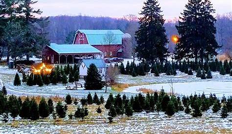 Christmas Tree Farm For Sale Beautiful In Washington 147752