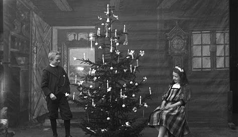 Christmas Tree History s Pagan Roots Or Not? Truth Or Fiction?