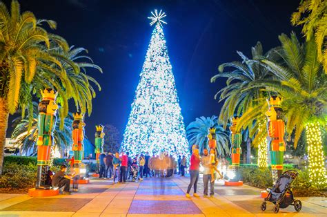Christmas trees! Orlando christmas, Holiday lights, Christmas spirit