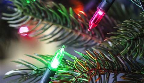 Christmas Tree Lights Multi Coloured LED Traditional 4fun co uk