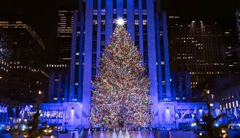 Christmas Tree Nyc 2023 How Many Of The Best s In NYC