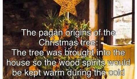 Christmas Tree Origin Pagan