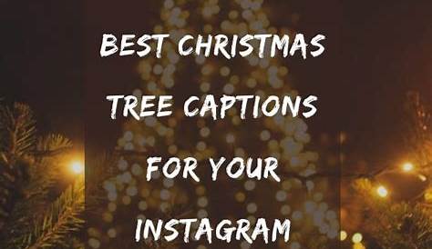 Christmas Tree Quotes For Instagram To Blessings