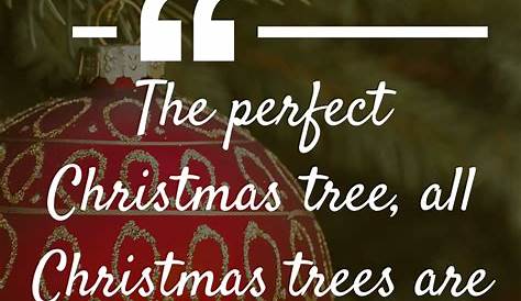 Christmas Tree Quotes On