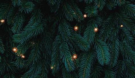 Christmas Wallpaper Aesthetic Iphone Green