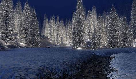 Christmas Wallpaper Real Tree Outdoor Winter s Cave