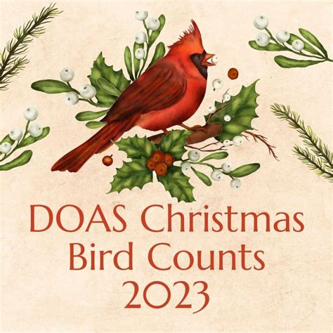 christmas bird count 2023