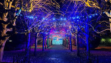 christmas experience