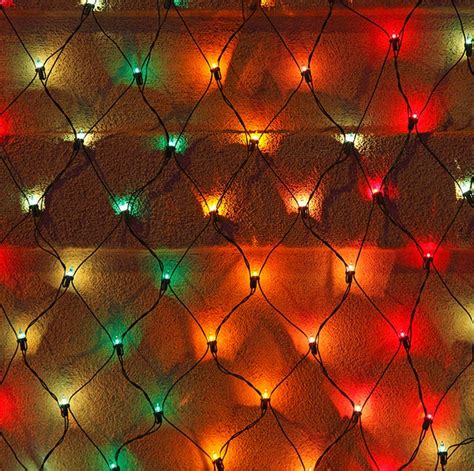 Christmas Light Nets