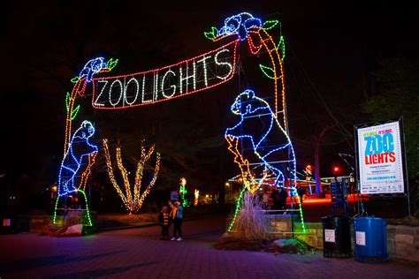 Christmas Lights At The Zoo Dc