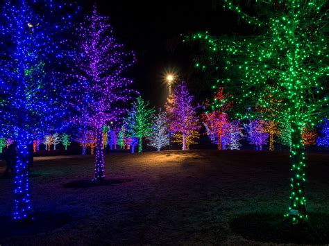 Christmas Lights Deer Park Tx