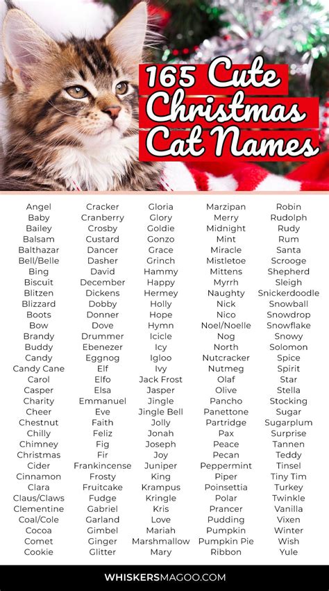 christmas names for a cat