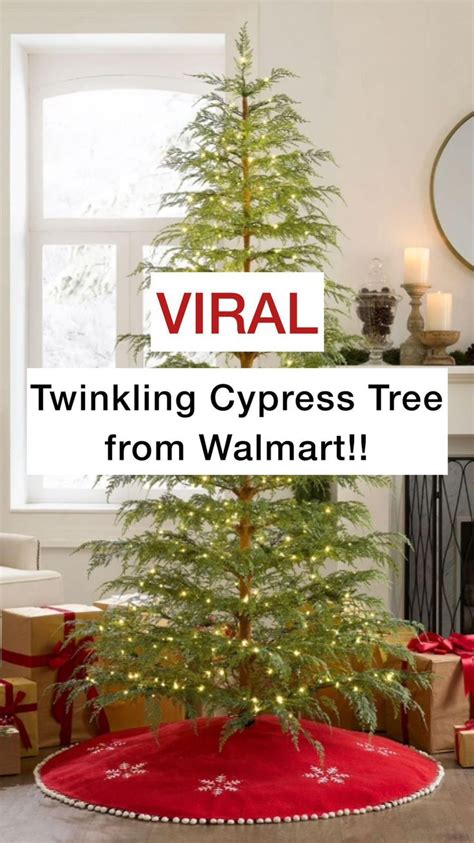 Christmas Tree Cypress