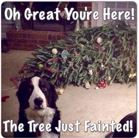 Christmas Tree Fainted Dog