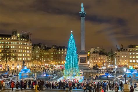 christmas tree in london's trafalgar square