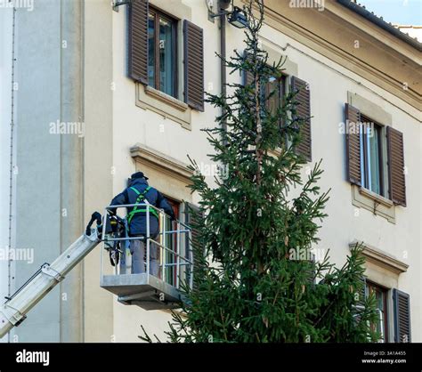 Christmas Tree Lights Installation
